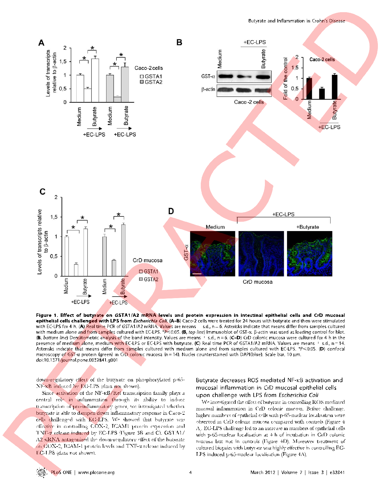 Transepithelial electrical resistance measurements across intestinal cell monolayers demonstrate butyrate's capacity to maintain epithelial integrity during inflammatory challenge.