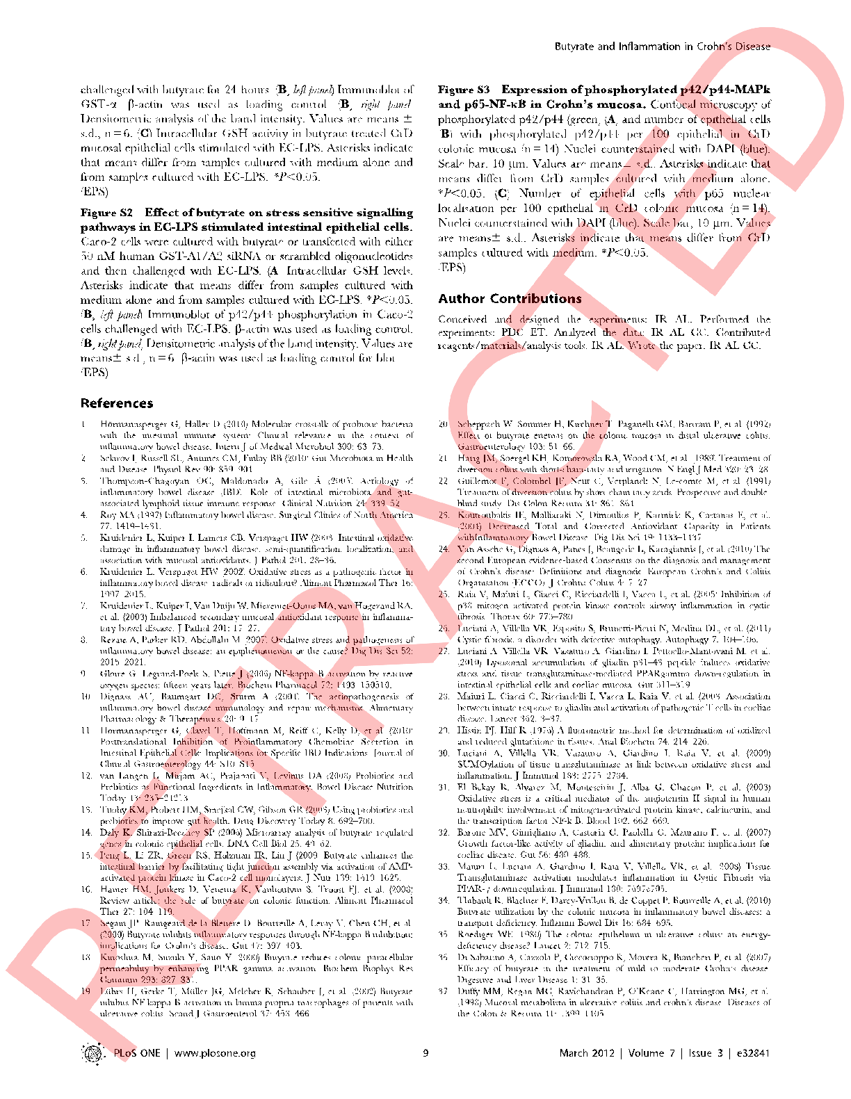 Permeability assays using fluorescent dextran tracers demonstrate reduced paracellular flux in butyrate-pretreated intestinal monolayers challenged with LPS.
