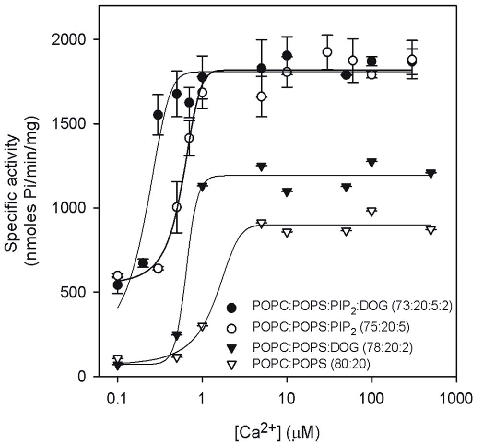 PKCα enzymatic activity is plotted as a function of calcium concentration, demonstrating how PIP2 reduces the calcium requirement for maximal kinase activation.