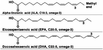 Target organs and physiological functions modulated by omega-3 polyunsaturated fatty acids in older adults are mapped, illustrating the widespread systemic benefits of EPA and DHA supplementation across cardiovascular, neurological, and musculoskeletal systems.