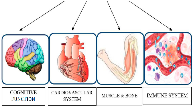 Evidence supporting omega-3 fatty acid supplementation in elderly populations is summarized, highlighting the role of DHA and EPA in maintaining cognitive function and reducing age-related inflammatory processes.