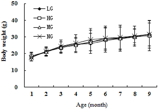 Daily food intake across groups confirms consistent consumption, with no significant differences between the low, high, and model groups during the study.
