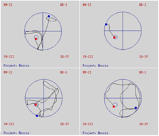 Biochemical markers of oxidative stress and antioxidant capacity in brain tissue are compared across treatment groups, showing dose-dependent protective effects.