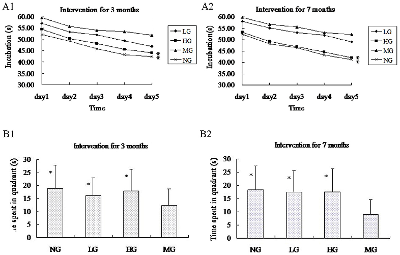 Morris water maze test results reveal that nutrient-supplemented APP-PSN mice demonstrate shorter escape latency and improved spatial memory compared to untreated transgenic controls.