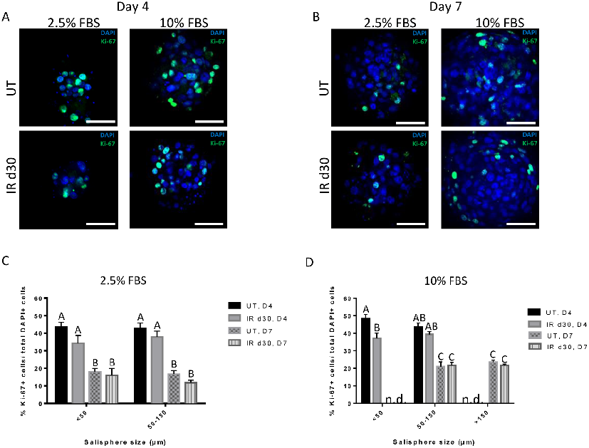 Fig 4. Similar proliferation rates are observed in untreated and irradiated salisphere cultures supplemented with FBS. Untreated and irradiated parotid-derived salispheres, maintained under different FBS concentrations, were fixed after 4 and 7 days in cu