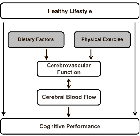 A schematic overview maps the relationships between dietary factors — including nitrate, polyphenols, fatty acids, and caffeine — and their effects on cerebral blood flow, integrating evidence from neuroimaging studies.