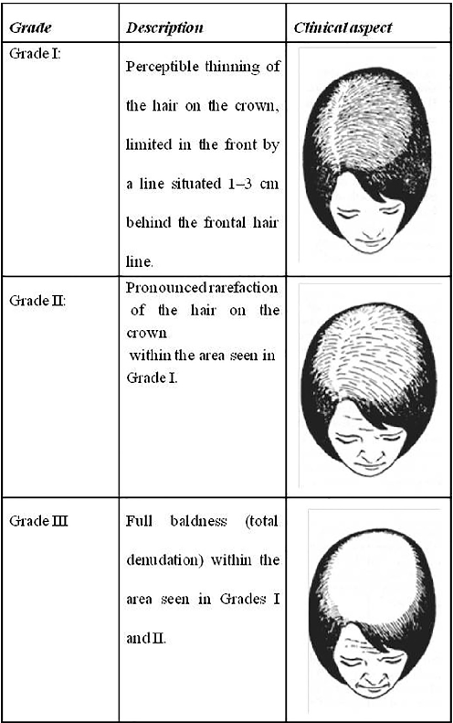 Fig. 2. Ludwig scale representation