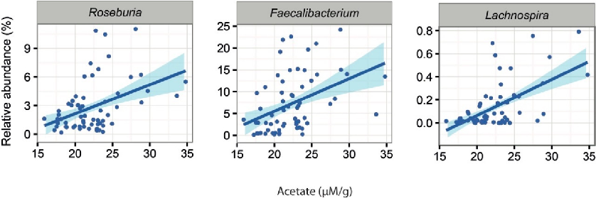 Figure 5. Signiﬁcant associations between acetate and the abundance of microbial taxa in constipated patients.
