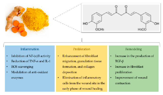 Figure 3. Structure and effects of curcumin on wound healing.