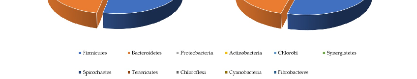 Figure 4. Relative proportions (percent) of phylum in the fecal samples of treated patients (ZR) and those of placebo (PL) patients.
