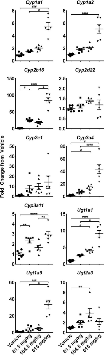 Figure 5. Effects of a two‐week administration of CBD on intrahepatic expression of cytochrome P450s and UDP‐glucuronosyltransferases. Livers were collected 6 h after the last gavage and gene expression was measured using the quantitative real‐time (qRT) 
