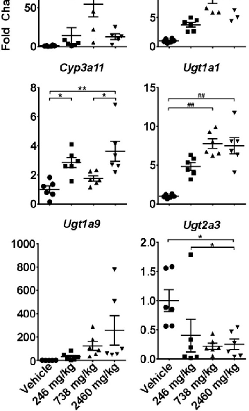 Figure 2. Eﬀects of single gavage with CBD on intrahepatic expression of cytochrome P450s and UDP-glucuronosyltransferases. Livers were collected at 24 h and gene expression was measured using the quantitative real-time (qRT) PCR. * - indicate data analyz
