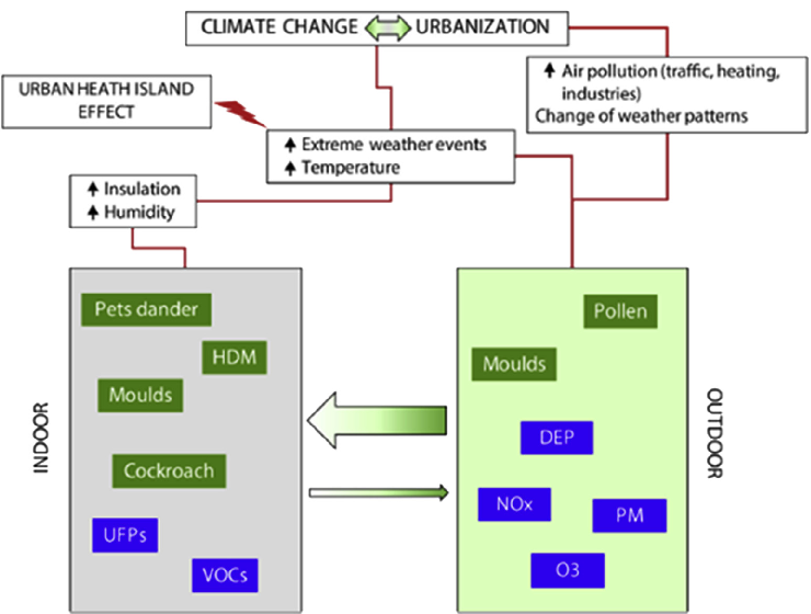 concentrations. Diesel exhaust particles (DEP), Nitrogen oxides (NOx), Particulate matter (PM), Ground level ozone (O3), House dust mite (HDM), Ultraﬁne particles (UFPs), Volatile organic compounds (VOCs). From Cecchi L et al. J Allergy Clin Immunol. 2018