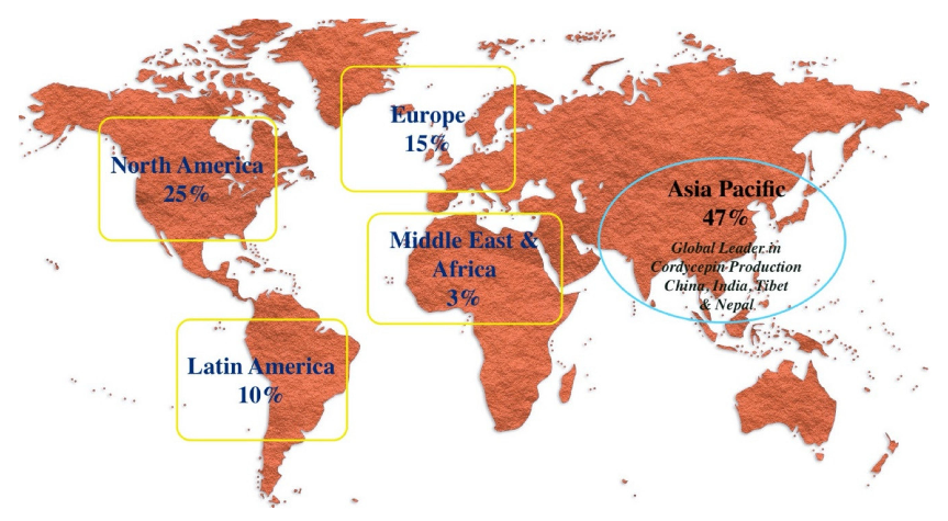 Figure 5. Expected global nutraceutical market by 2025 with China, India, Tibet and Nepal as global leaders for production and extraction of cordycepin [144].