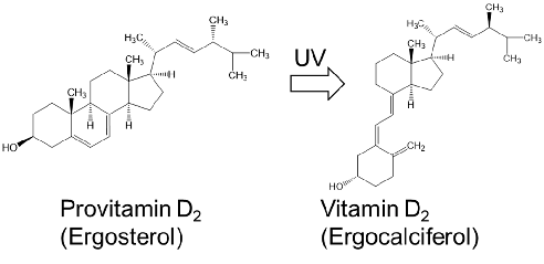Figure1. StructuresofprovitaminD2 andvitaminD2 foundincommerciallyavailableChlorellaproducts.