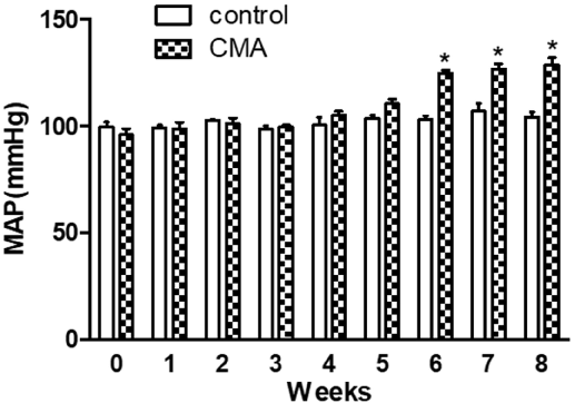 Figure 1. Blood pressure measurement (tail-cuff). Each bar represents values expressed as mean ± SEM. The change in mean arterial pressure (MAP) was considered significant (*) when p < 0.05 between two groups. The data were analyzed using two-way ANOVA