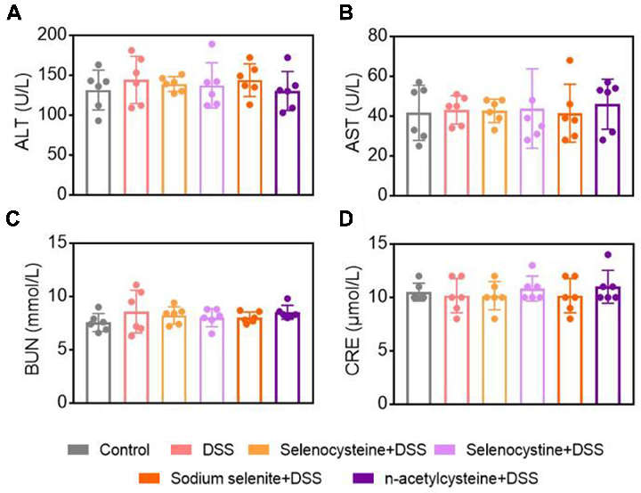 Figure 6 Effects of selenium-containing amino acids on biochemical test parameters in DSS-induced IBD in mice. Serum levels of (A) ALT, (B) AST, (C) BUN, and (D) CRE in different groups. Differences were assessed via one-way analysis of variance (ANOVA) w