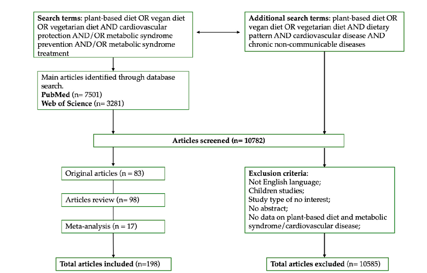 Figure 2. Full search strategy.