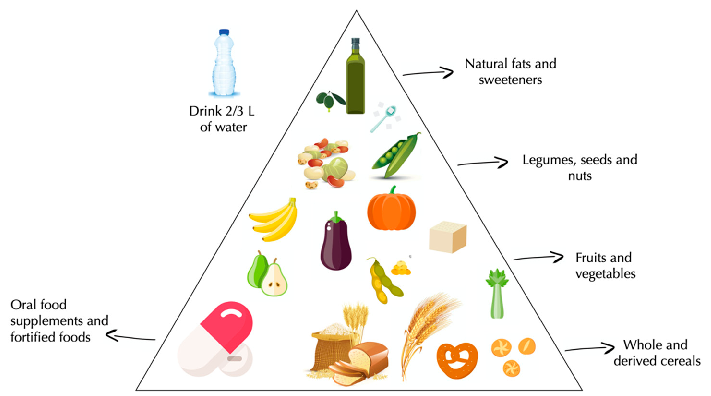 Figure 3. Vegan pyramid.