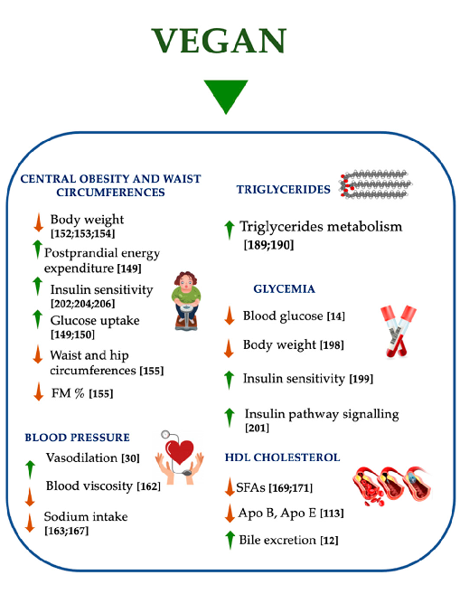 Figure 6. Effects of vegan diet on metabolic syndrome. APO, apolipoprotein; FM, fat mass; SFAs, saturated fatty acids; ↑ increase; ↓ decrease.