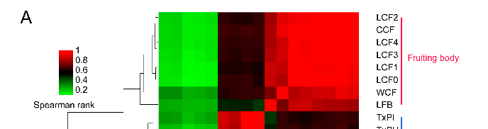 Graphical representation of outcomes in a study of stage, highlighting trends observed across experimental conditions.