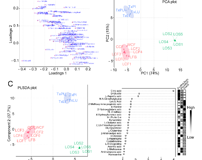 Statistical analysis from research investigating stage, comparing treatment groups and control conditions.