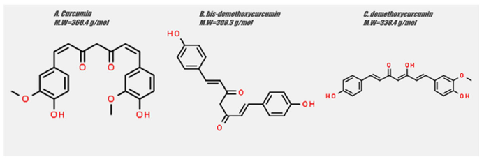 Figure 1. Chemical structure of (A) curcumin, (B) bis-demethoxycurcumin, (C) demethoxycurcumin. Structures were drawn using ChemSpider, an online free chemical structure database.