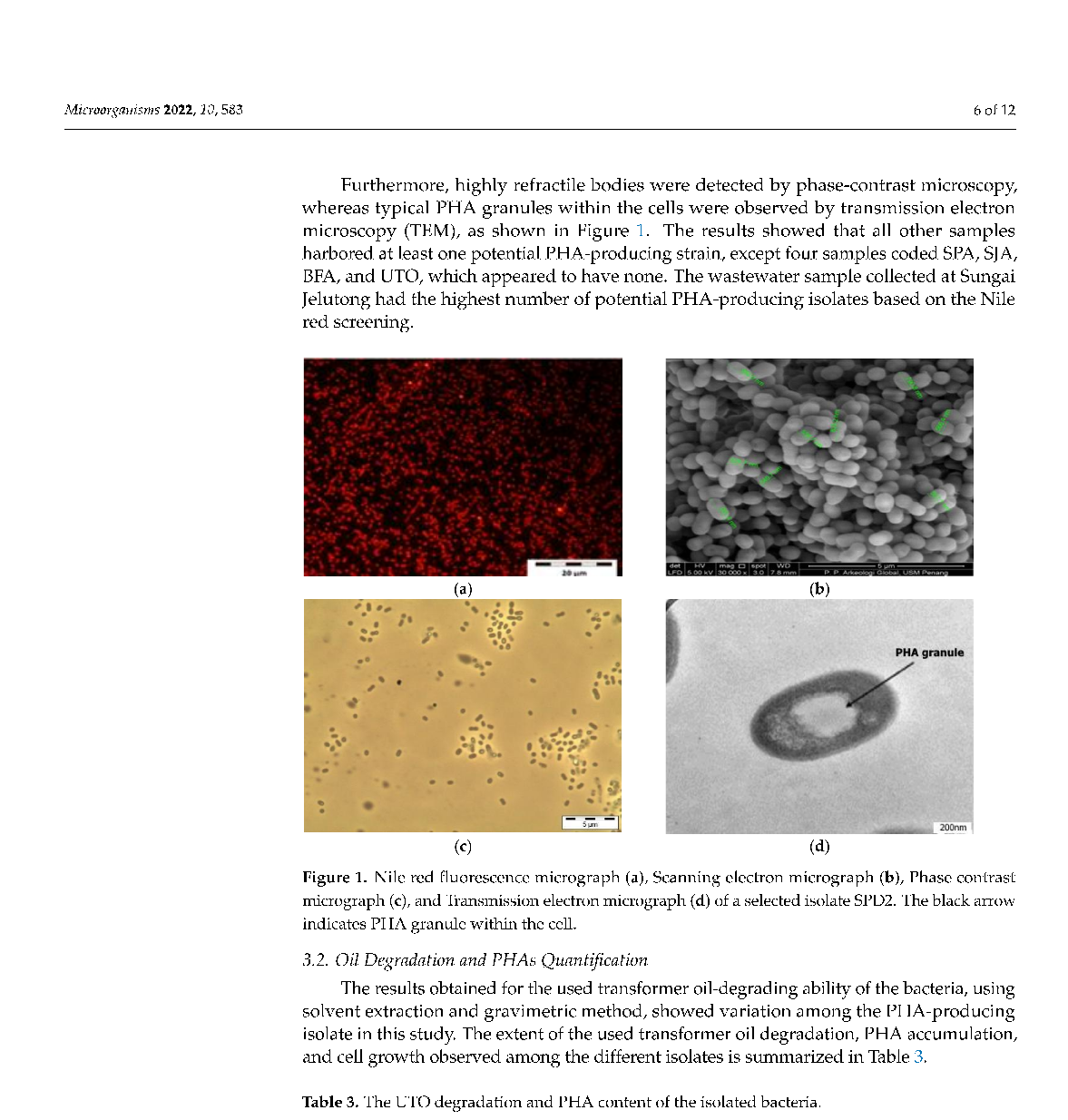 Isolate Code Oil Degradation (%) PHA Content (%) CDW(g/L)