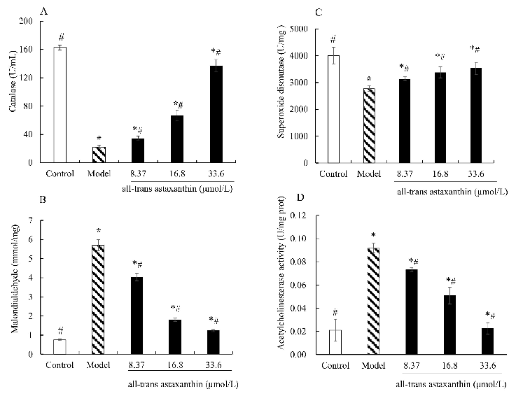 Figure 5. Effect of all-trans astaxanthin on intracellular antioxidant capacity and acetylcholinesterase activity. The levels of catalase (A), malondialdehyde (B), superoxide dismutase (C), and acetylcholinesterase activity (D) are shown. : Control group;