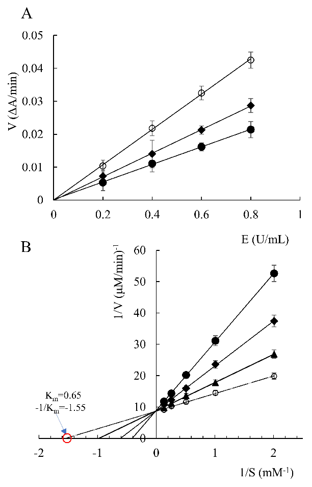 Figure 2. Reaction rates of acetylcholinesterase in the presence of all-trans astaxanthin with different concentrations (A), and Lineweaver–Burk reciprocal plots (B). ○: all-trans astaxanthin concentration 0 μmol/L; ▲: all-trans astaxanthin concentration 