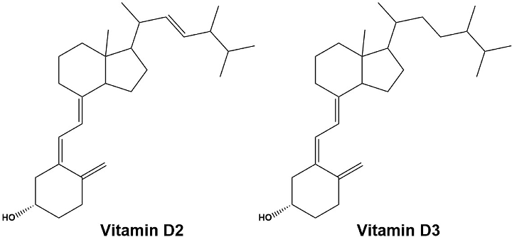 Vitamin D is increasingly viewed as an immune modulator capable of directly impacting both innate and adaptive immune responses (Figure 2). Given that almost all immune cells express VDR,2 it is not surprising that vitamin D is closely correlated with imm
