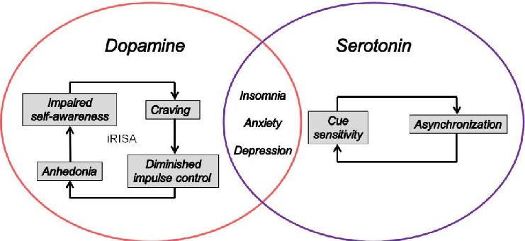 Figure 1. The iRISA syndrome [76] in addiction is centrally controlled by dopamine in the brain, while asynchronization, presumed to be linked to cue sensitivity in digital addiction [50–54], is centrally controlled by serotonin. A deﬁcit in both neurotra