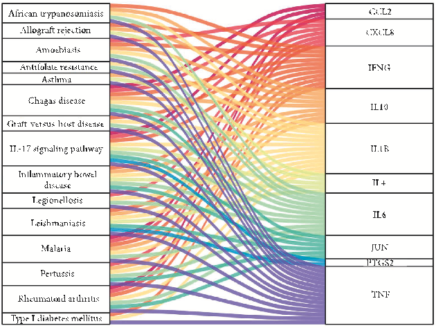Figure 8: Sankey diagram of hub genes and enriched signaling pathways.
