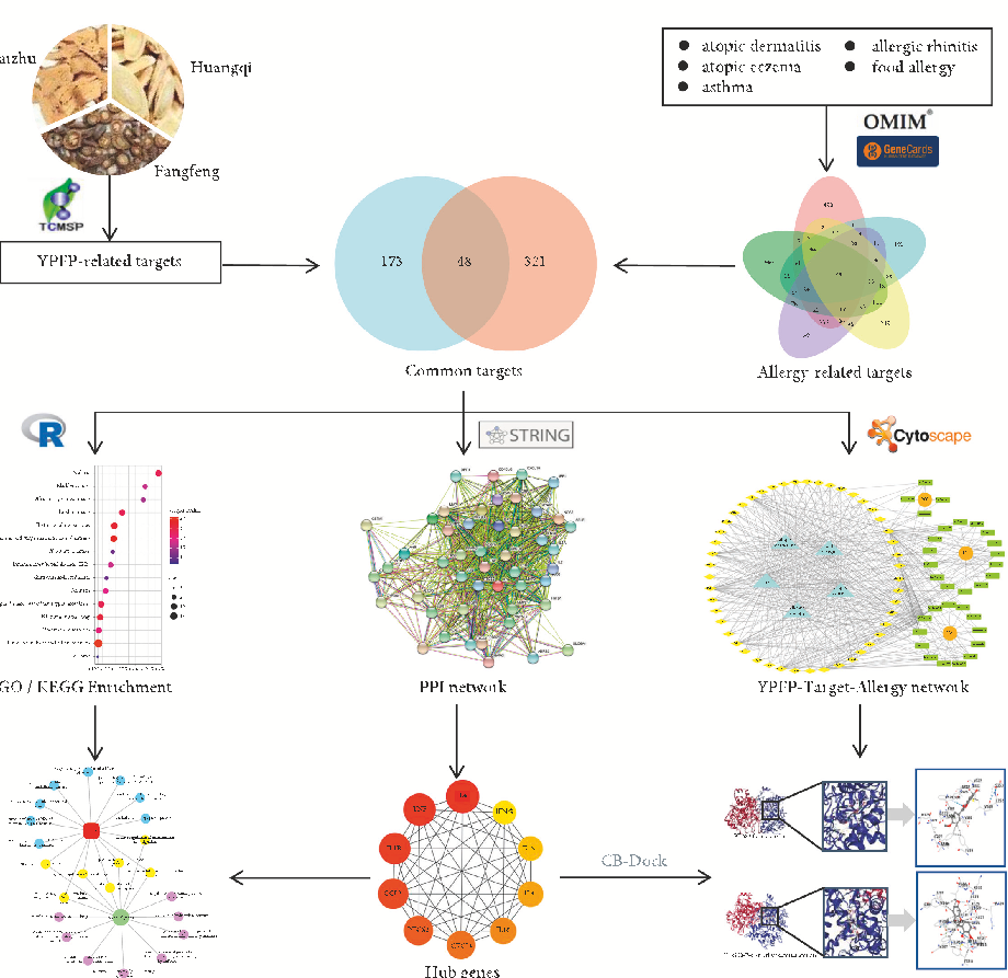 Molecular docking Common enriched