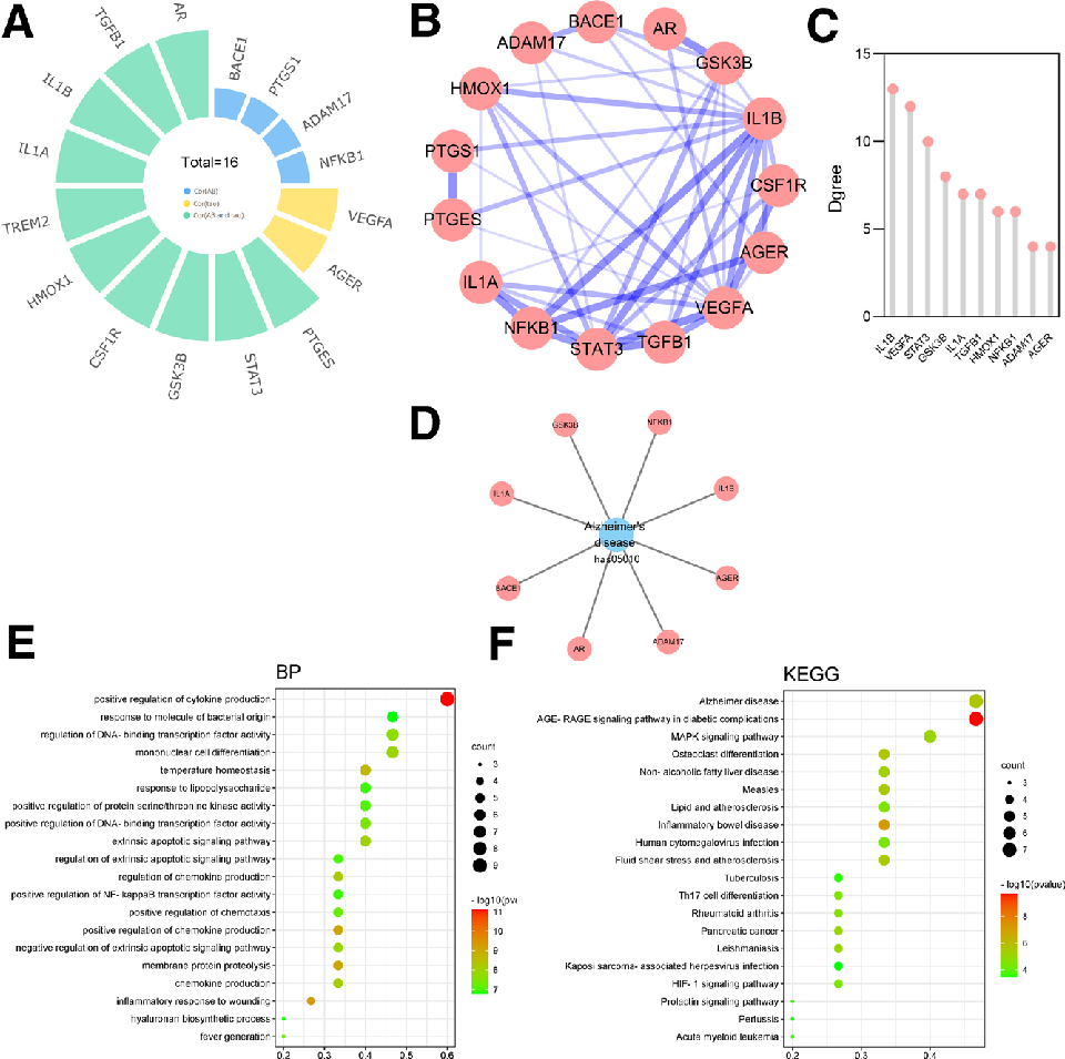 Figure 6. (A) Targets of curcumin significantly related Aβ, tau, or Aβ and tau. (B) PPI networks of targets of curcumin-related Aβ and tau pathology. (C) The top 10 core targets from the PPI network were ranked by degree. (D) Targets correlated Alzheimer 