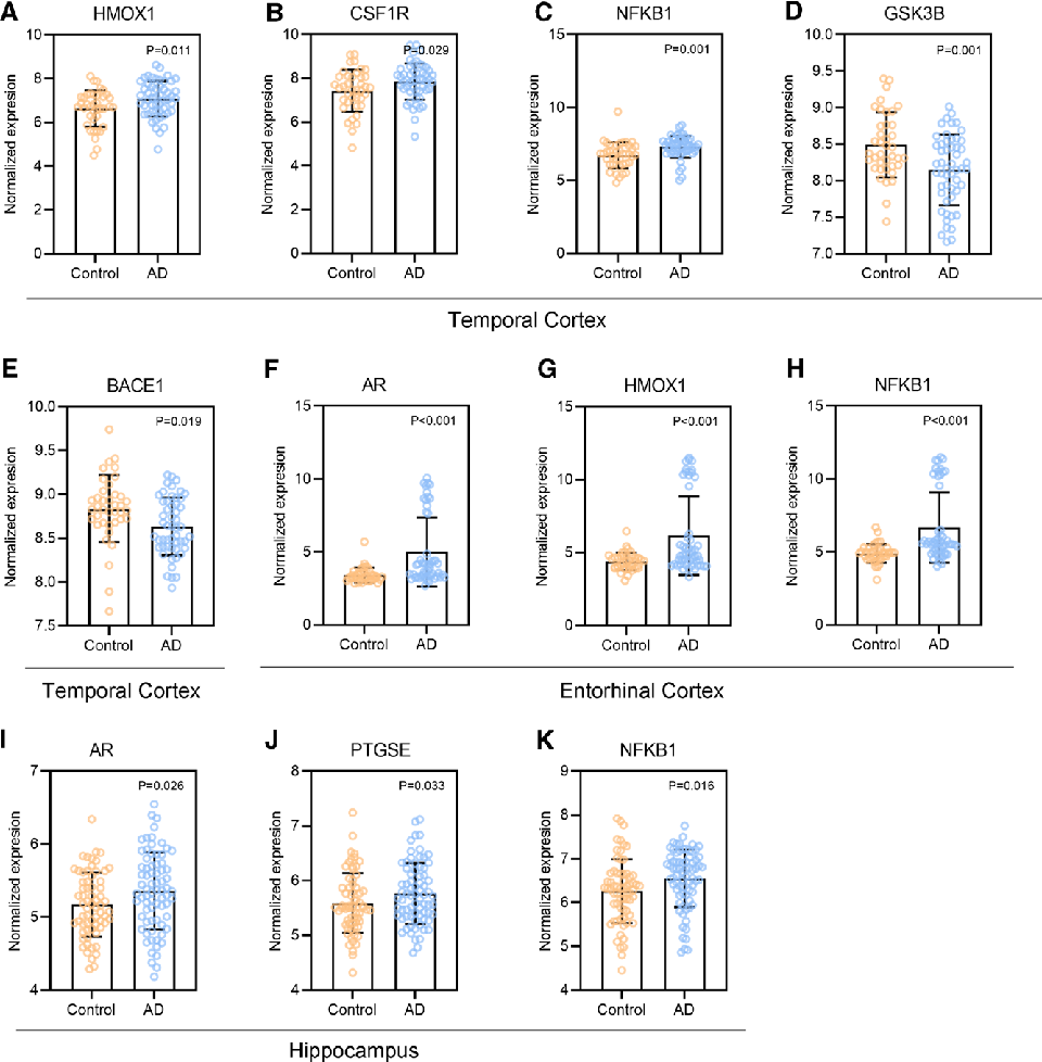 Figure 7. (A–E) Differential gene expression compared to the control group in the temporal cortex (F–H) Differential gene expression compared to the control group in the entorhinal cortex. (F–H) Differential gene expression compared to the control group i