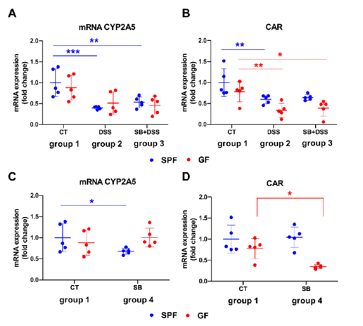 Comparison of mRNA expression of CYP2A5 and CAR in murine liver of GF and SPF mice. Gene expression of (A,C) CYP2A5 and (B,D) constitutive androstane receptor (CAR).