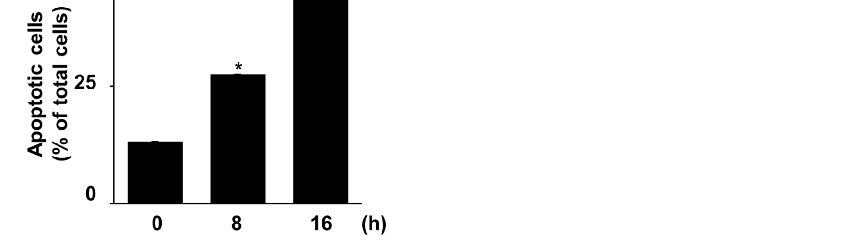 Figure 1. Glucose/glucose oxidase (G/GO) treatment induced cell death, DNA fragmentation, and apoptosis in AGS cells. The cells were stimulated with G/GO for the indicated periods. (A) Viable cell counts were determined using the trypan blue exclusion tes