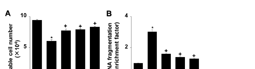 cells in G/GO-treated cells (Figure 2C,D). These data show that astaxanthin inhibits G/GOinduced cell death, DNA fragmentation, and apoptosis in AGS cells in a dose-dependent manner.