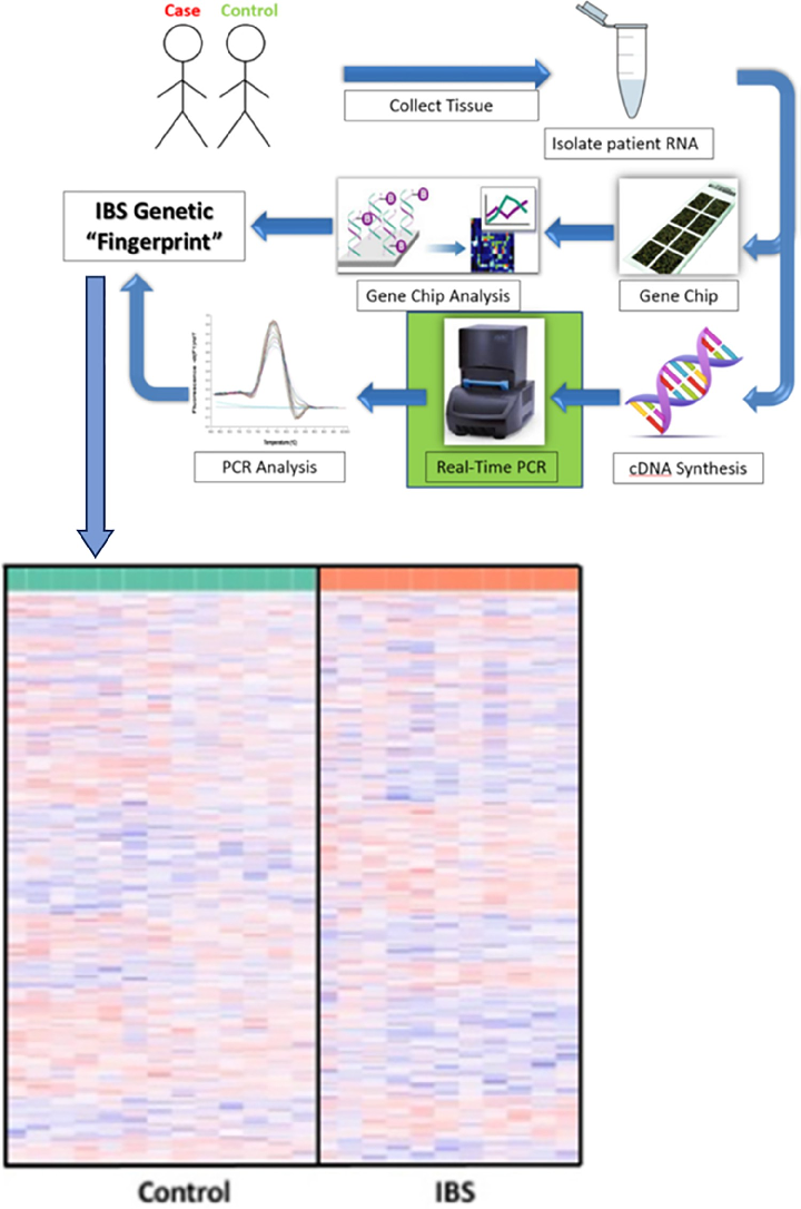 Fig 1. Workflow and DNA microarray analysis. Workflow in the acquisition of an IBS genetic “fingerprint” from patient sample to transcriptomic analysis. Differentially expressed genes from mucosal tissue biopsy samples in the sigmoid colon of patients dia