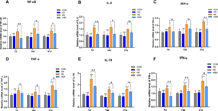 Figure 4. The mRNA expression levels of inﬂammatory genes associated with the NF-kB pathway in the ovaries. (A−F) The mRNA expression levels of NF-kB, IL-8, IKKa, TNF-a, IL-18, and IFN-g.