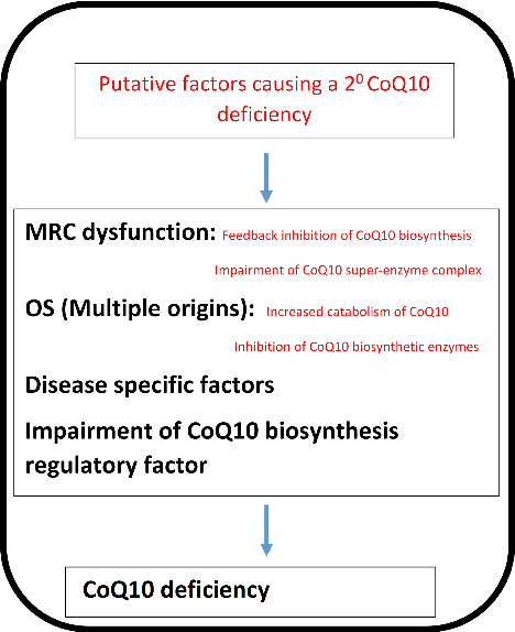 Fig. 1. The potential factors responsible for a secondary CoQ10 deficiency. COQ10, Coenzyme Q10; OS, Oxidative stress; MRC, Mitochondrial respiratory chain.