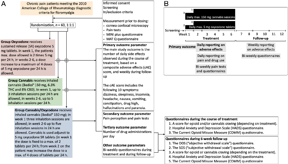 Fig. 1 A Study procedures flow diagram. B Timing of dosing and measurements of endpoints
