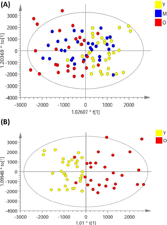 Scatter plots of individual metabolite abundance versus age reveal significant correlations for specific compounds, suggesting continuous metabolic drift across the lifespan.