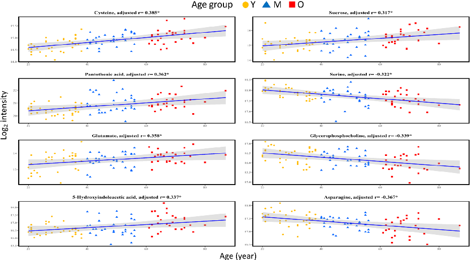 Sex-stratified metabolite-age correlation analysis in cerebrospinal fluid shows both shared and sex-specific metabolic aging patterns.