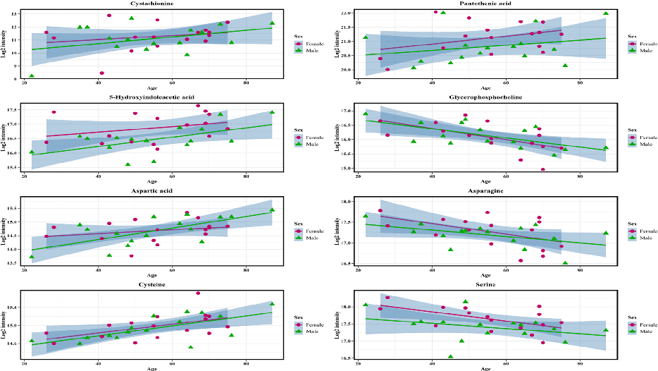 Pathway enrichment analysis of age-associated CSF metabolites identifies disrupted metabolic pathways, including amino acid and lipid metabolism, during brain aging.