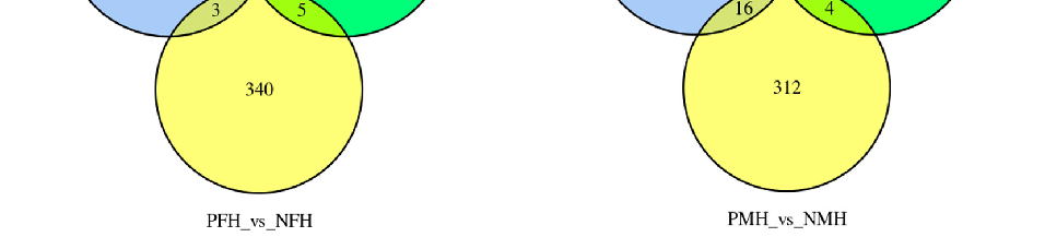 Volcano plot visualization highlights metabolites significantly enriched or depleted in precocious crabs compared to age-matched controls.