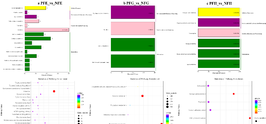 Heatmap of top differentially abundant metabolites clusters precocious and normal crabs into distinct groups based on metabolic signatures.