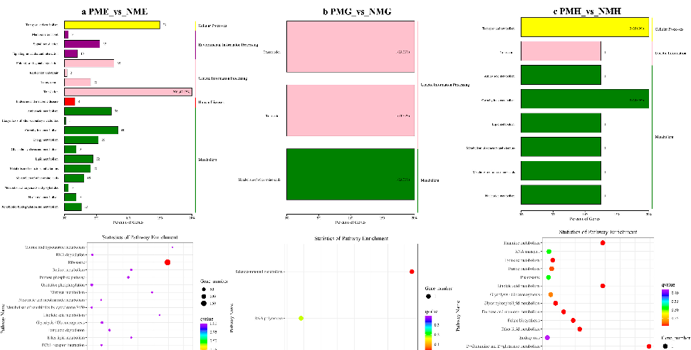 Lipid metabolite classes are quantified across crab groups, showing elevated steroid and fatty acid metabolites associated with the precocious phenotype.