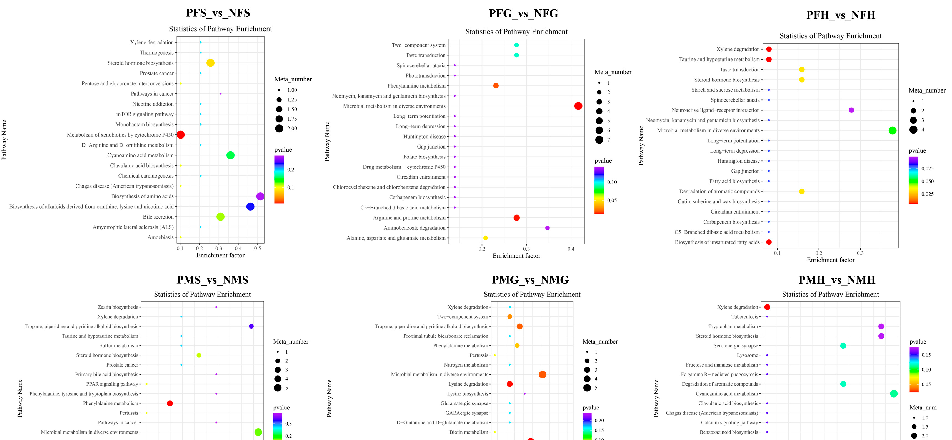 Integrated pathway visualization connects transcriptomic gene expression changes to metabolomic shifts in the phenylalanine metabolism pathway of precocious crabs.